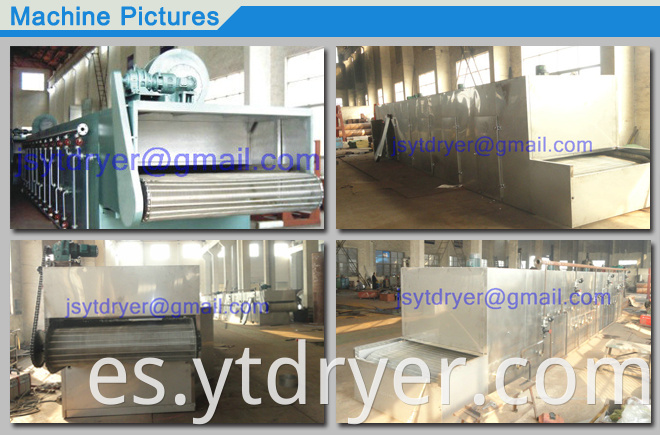 Mesh Belt Drying Machine